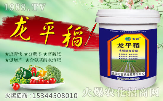 �����f�ݡ�ȫ�w�T����ףȫ����(j��ng)�N�����w����������l(f��)��ؔ(c��i)��