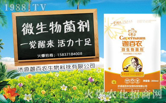 ���Ȱ��r(n��ng)����ף����´��옷���Ҹ�������