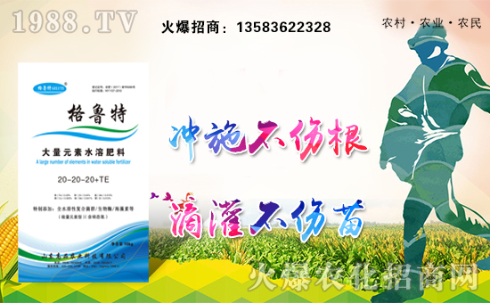 ��ɽ�|��Ʒ��ףȫ�������Ҹ��������f�����⣡