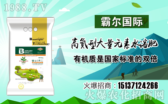 【霸爾國際】祝全國朋友在新的一年里工作順利,步步高升!