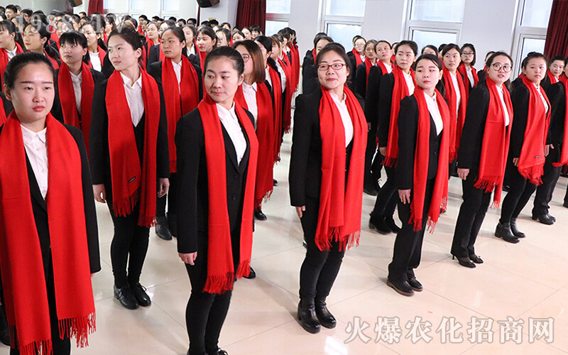 岸芷碟舞,為生命畫(huà)一片樹(shù)葉