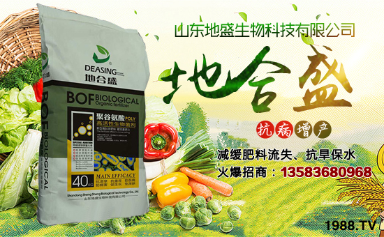 ɽ�|��ʢ����Ƽ����޹�˾