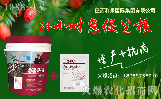 ���������H��ף������µ�һ���ﹷ������f��������