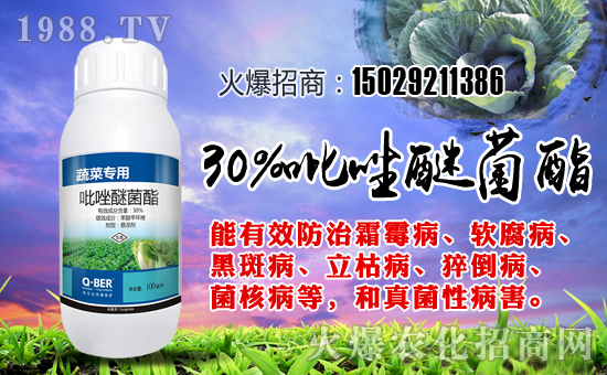 ����ؐ�����ףȫ�����ѹ���󼪣��f��������