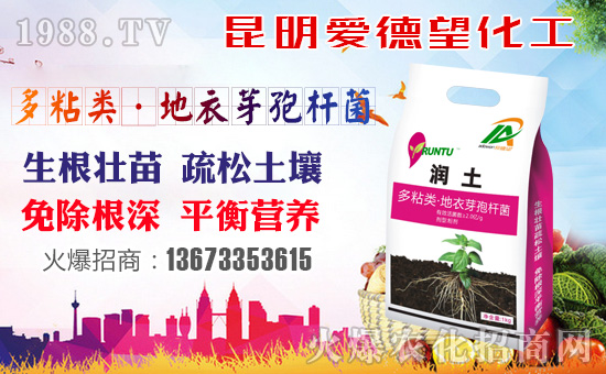 ���۵���������ף������µ�һ�����Ҹ����M���H�Қg����