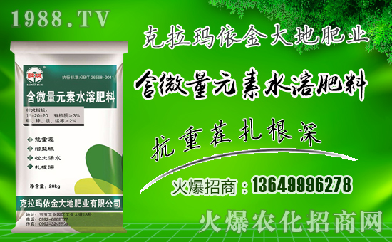 �����طʘI(y��)��ף������µ�һ���������³����f�����⣡