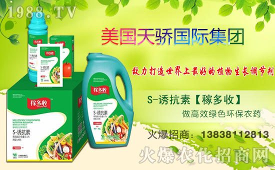 【天驕國際】祝全國朋友身體健康,萬事如意!