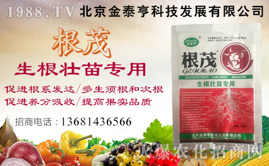 ��������̩�ࡿ��ף��λ��(j��ng)�N�����т�����t��ؔ(c��i)Դ�V�M(j��n)��