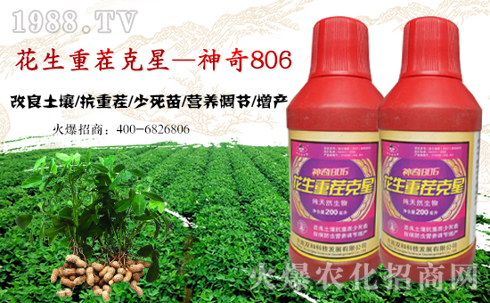 【大連雙和】恭祝新老客戶狗年行大運(yùn),財(cái)源滾滾來!