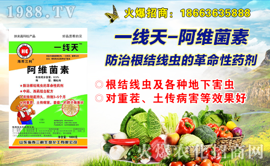 ���������ףȫ�����Ѻ��¶����Ц�ݶ����