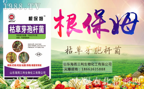 ���������ףȫ�����Ѻ��¶����Ц�ݶ����