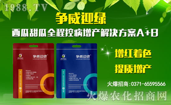 ���M��tֲ�ף������µ�һ�������w�������f��������