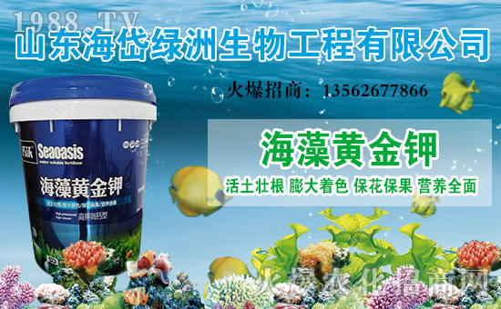 ����᷾G�ޡ�ף������옷���Ҹ��d�d��