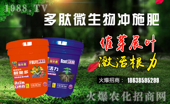 �������G���š�ףԸһ·�������т����w���������꼪����