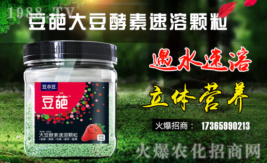 臺灣豆本豆生化國際有限公司