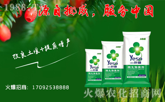 【康柏國際】祝福一路相伴的朋友們在新的一年里幸福美滿,闔家歡樂!