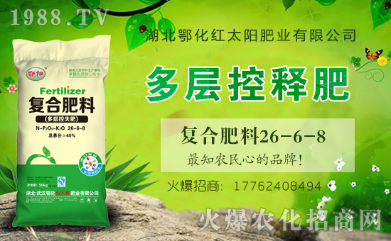 ���t̫�(y��ng)�ʘI(y��)��ףȫ��(gu��)�������µ�һ���﹤�����������������