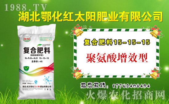 ���t̫�(y��ng)�ʘI(y��)��ףȫ��(gu��)�������µ�һ���﹤�����������������