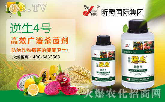 張燈結(jié)彩新春到,鞭炮聲聲人歡笑。開開心心無煩惱,順順利利事業(yè)高!值此新春佳節(jié)來臨之際,昕爵國際集團(tuán)祝大家在新的一年里財(cái)源滾滾來!