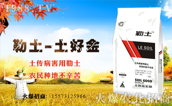 �����ý����ף������µ�һ�����´��옷���������