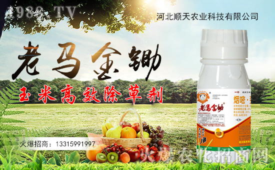 【順天農(nóng)業(yè)】祝全國朋友在新的一年里幸福美滿,闔家歡樂!