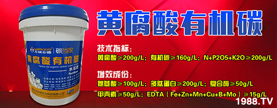 ��ɽ�|�f(w��n)��ȵ¡�ȫ�w�T���o�r(n��ng)�Y��(j��ng)�N�����т���������