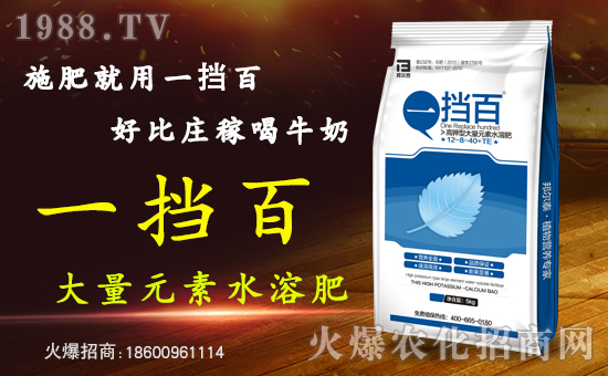 �̩����Ƽ������������޹�˾