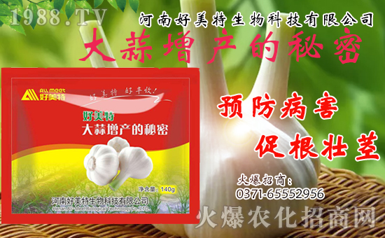 �����������ף������w�����������d�����H���Ҹ���