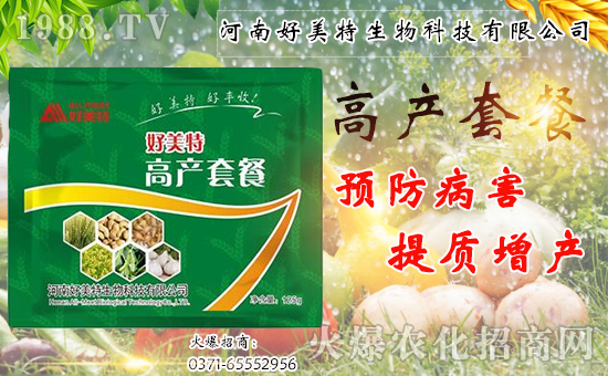 �����������ף������w�����������d�����H���Ҹ���