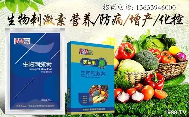 Ӣ��Ӣ����ֲ�ﱣ�o(h��)���޹�˾