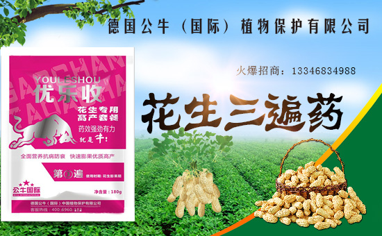 ����������ף������µ�һ���﹤�����������������