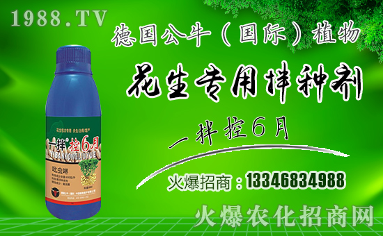 ����������ף������µ�һ���﹤�����������������