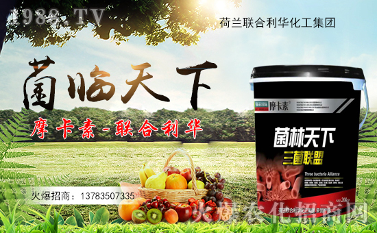 ��(li��n)�����A��ף������µ�һ�������w�������f(w��n)��������