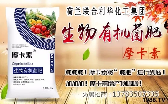 ��(li��n)�����A��ף������µ�һ�������w�������f(w��n)�����⣡