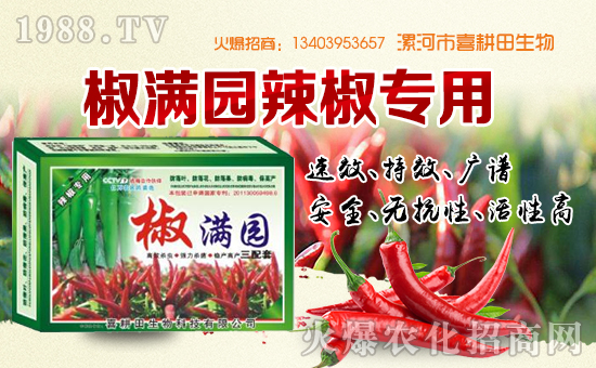 ��ϲ�������ף���������\�������ո�������