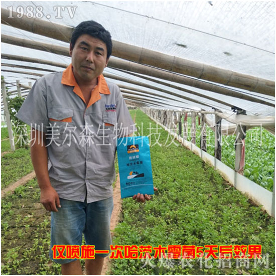 ������ɭ����������µ�һ�������w�����������³ɣ��f��������