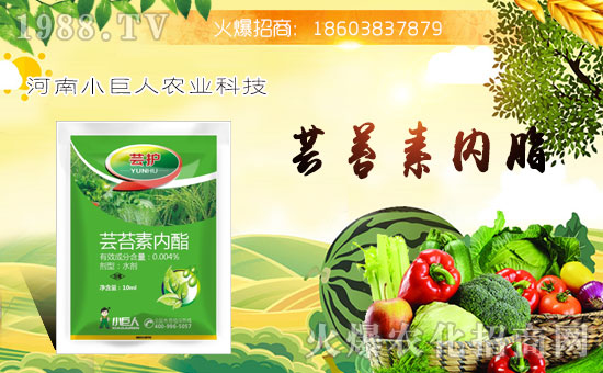 ��С�����r(n��ng)�I(y��)��ף������µ�һ���﹤�����������������