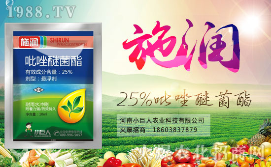 ��С�����r(n��ng)�I(y��)��ף������µ�һ���﹤�����������������