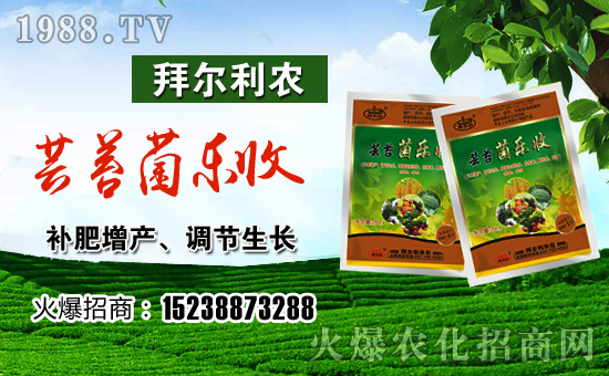 ���ݠ����r(n��ng)��ף������������t�t�����