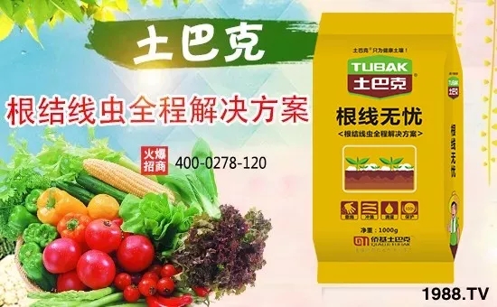 �Ϻ��S������Ƽ����޹�˾