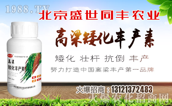 ��ʢ��ͬ�S��ףȫ�����ѹ���󼪣��f��������