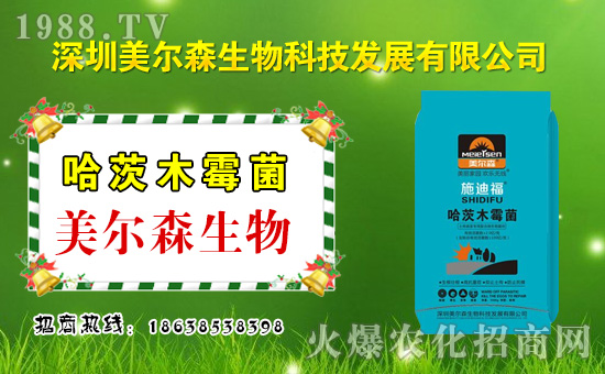 ������ɭ���ף������µ�һ�������w�����������³����f�����⣡