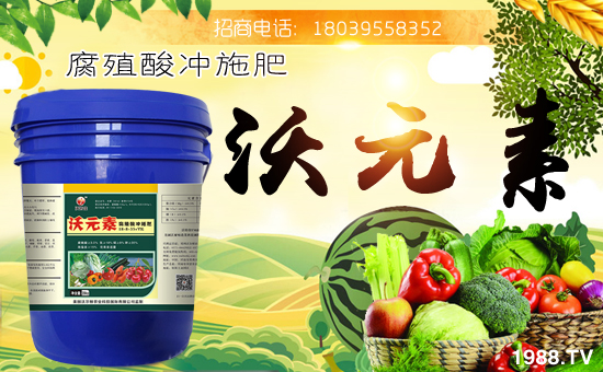 ���֠��D�r(n��ng)�I(y��)��ף������µ�һ�����´��󼪡��f��������