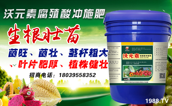 ���֠��D�r(n��ng)�I(y��)��ף������µ�һ�����´������f�����⣡