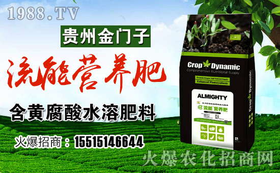 ���F�ݽ��T�ӡ�ף������µ�һ���������³����f(w��n)�����⣡