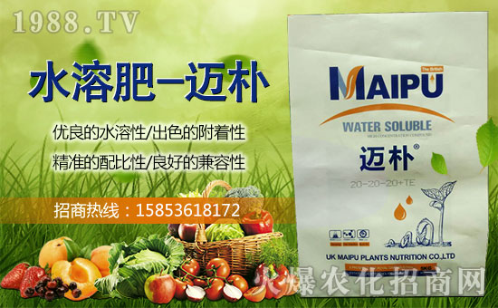 ��Ӣ���~��ֲ�ףȫ���������w�������f�����⣡