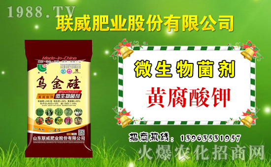 ��(li��n)���ʘI(y��)��ף������µ�һ���﹤�����������������