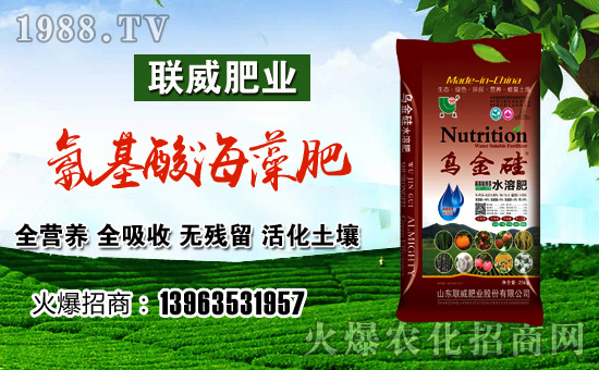 ��(li��n)���ʘI(y��)��ף������µ�һ���﹤�����������������