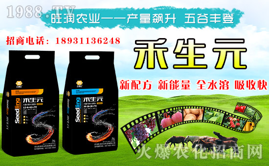 �������r�I(y��)���o����������ף���´������f��������