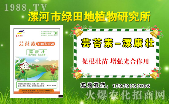 【綠田地植物】祝大家在新的一年里身體健康,萬事如意!